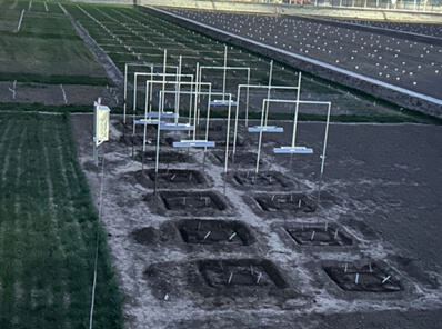 遠紅外增溫模擬試驗:研究溫度上升對作物生長的影響