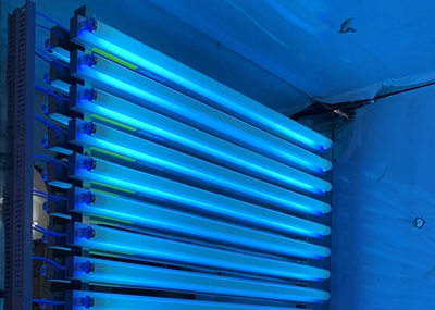 如何通過UV紫外光照實驗箱構建動物皮膚光老化模型?