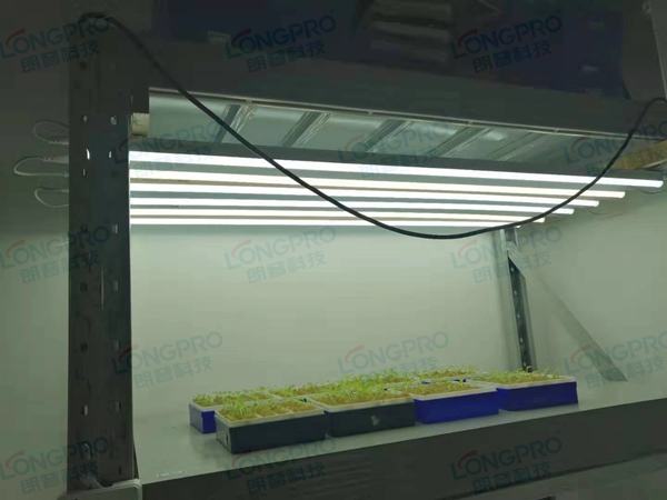 案例發布—華南師范大學.jpg 案例發布—華南師范大學.jpg